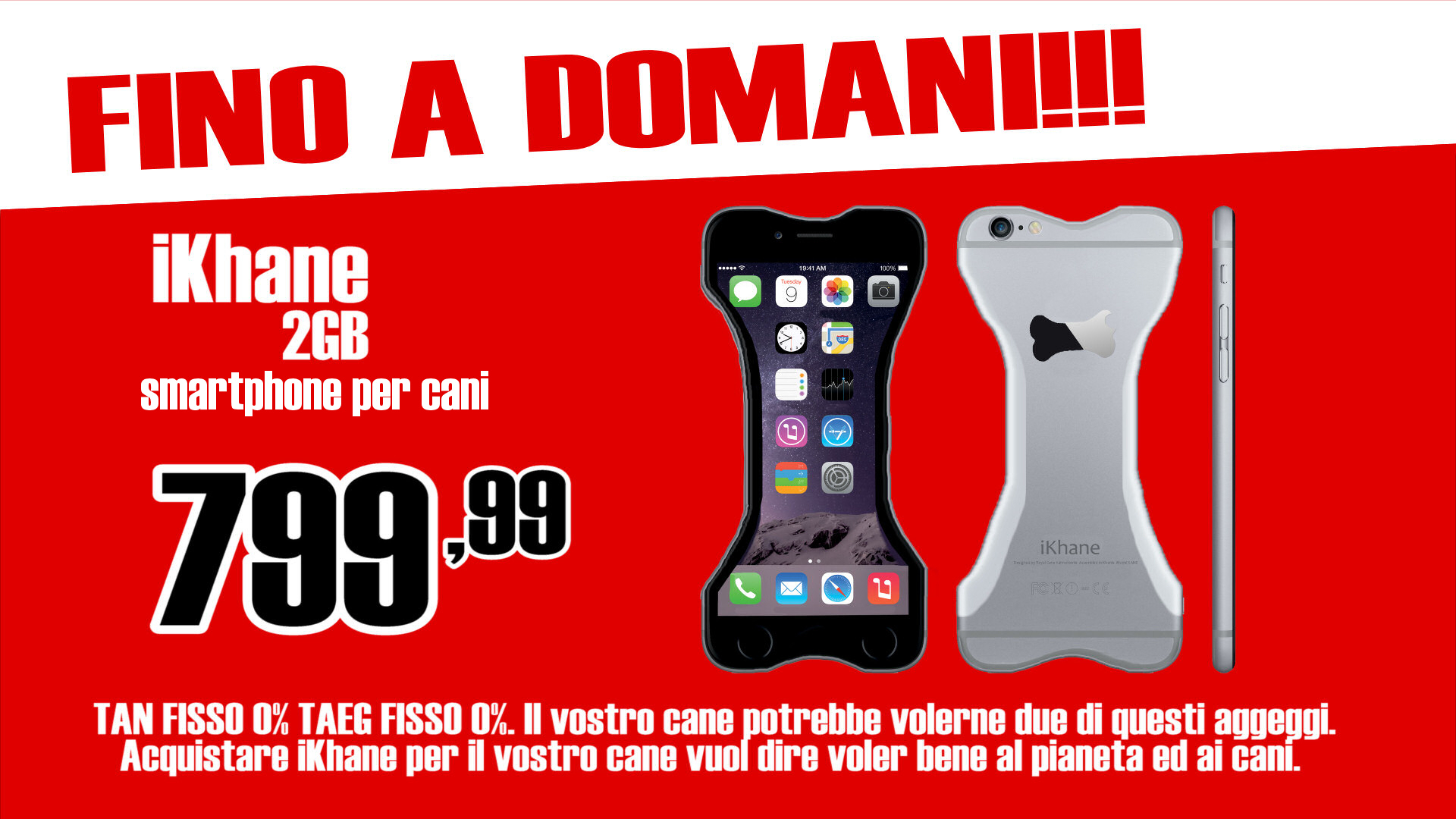 tg-test-cellulare-per-cani-ikhane-promo